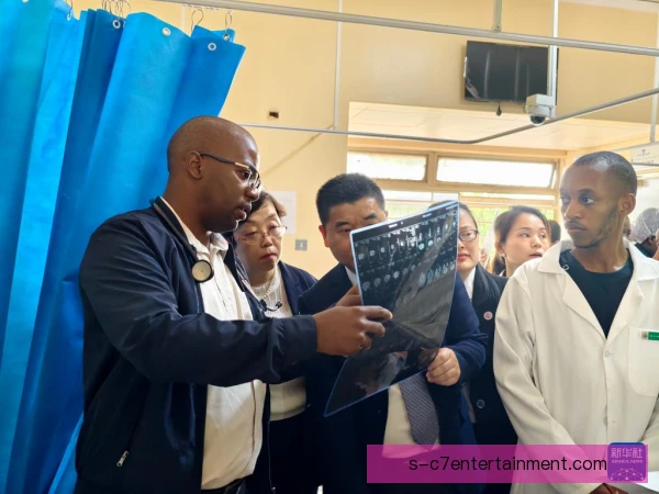 新援群体三中卫体系适配，决定防线整体上限